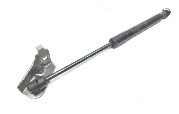 Jaguar E-Pace Front bonnet/hood damper/strut J9C316C826AB 9842300335N