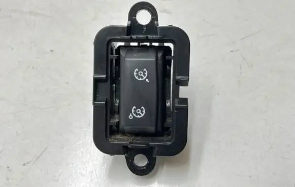Renault Megane III Cruise control switch 1015009001
