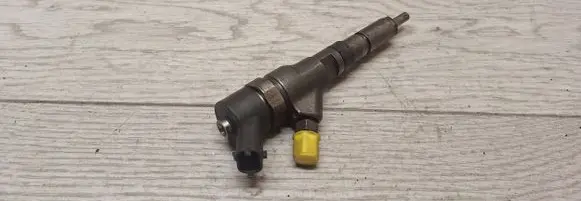 Citroen Berlingo Fuel injector 0445110076