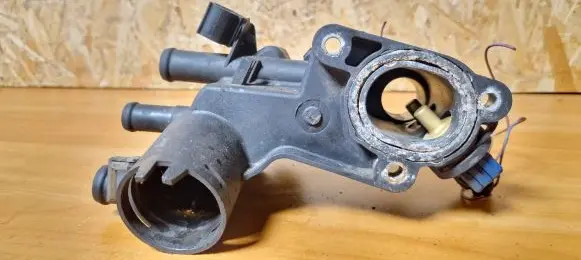 Thermostat/thermostat housing