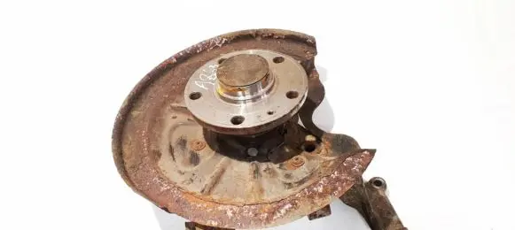 Skoda Octavia Mk2 (1Z) Rear wheel hub didzioji