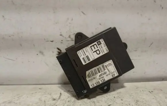 Opel Vectra C Door control unit/module 13170134 097996