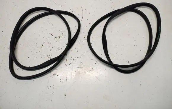 Renault Arkana Front door rubber seal 16922244564