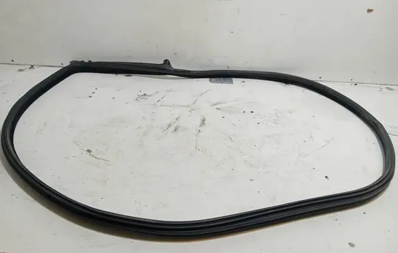 BMW 6 F06 Gran coupe Rubber seal front door (on door) 7275298