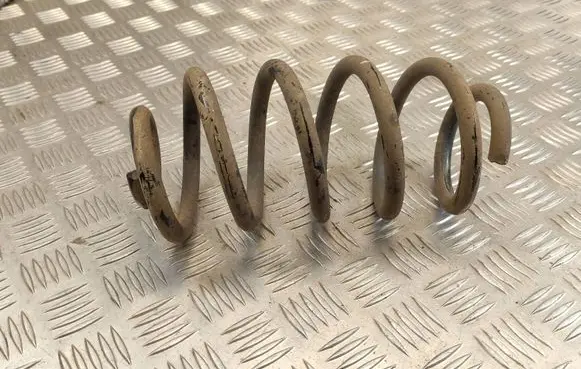 Renault Zoe Rear coil spring