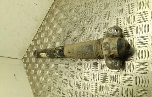Skoda Enyaq iV Rear shock absorber/damper 1EA512013AG