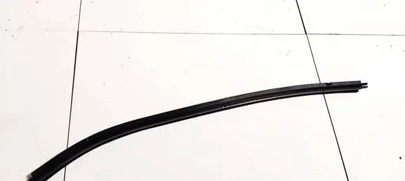 Citroen Berlingo Rubber seal front coupe door 