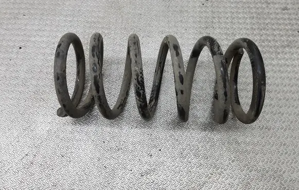 Hyundai Santa Fe Rear coil spring