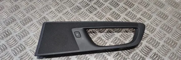 Other front door trim element