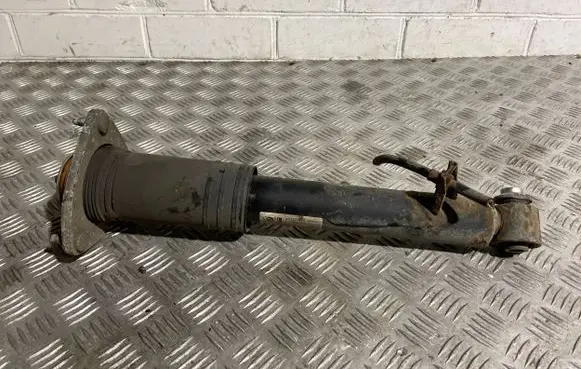 BMW X5 E70 Rear shock absorber/damper 6781931