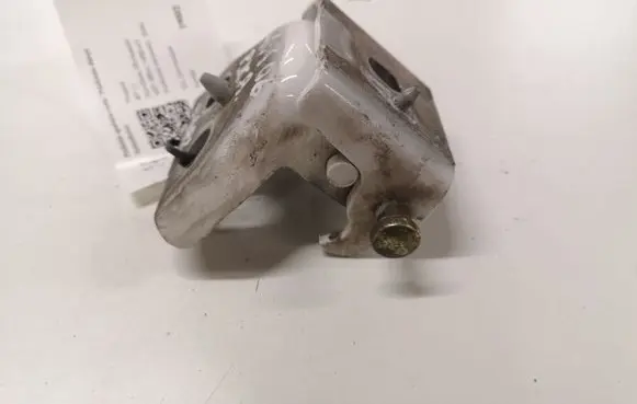 Peugeot 407 Front door lower hinge 