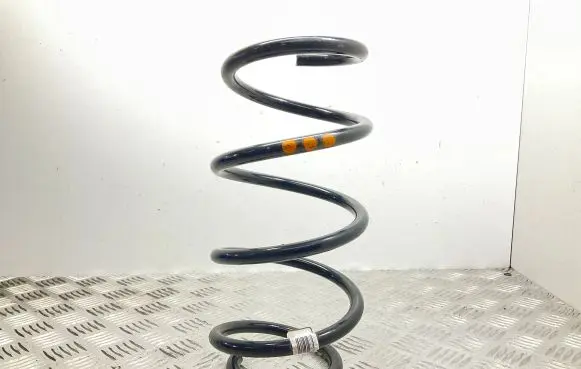 Front coil spring