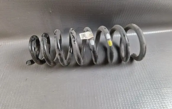 Rear coil spring