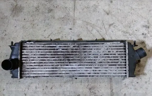 Renault Trafic II (X83) Intercooler radiator 8200411160 93854162