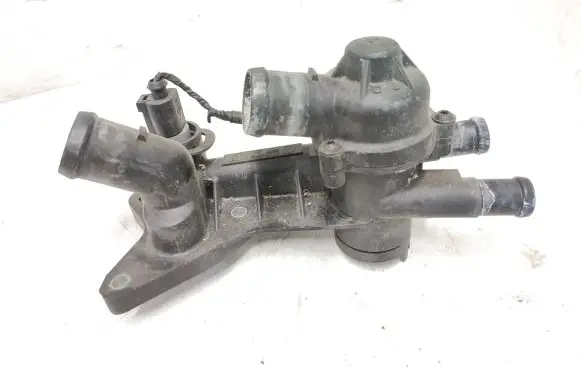 Thermostat/thermostat housing