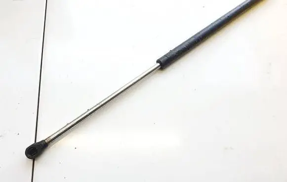 Tailgate/trunk strut/damper