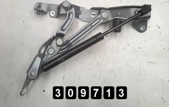 Engine bonnet/hood hinges