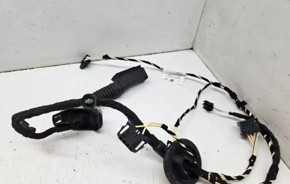 Rear door wiring loom