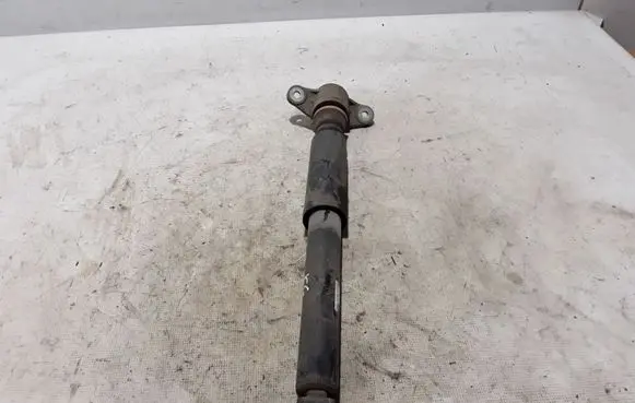 Hyundai Ioniq Rear shock absorber/damper 55300G2800