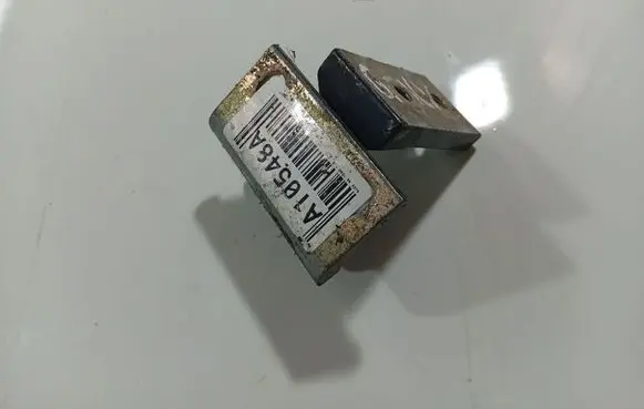 Rear door lower hinge