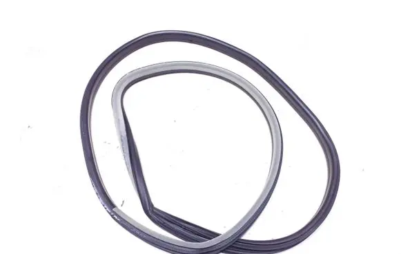 Opel Signum Rubber seal rear door 13149784 30662005