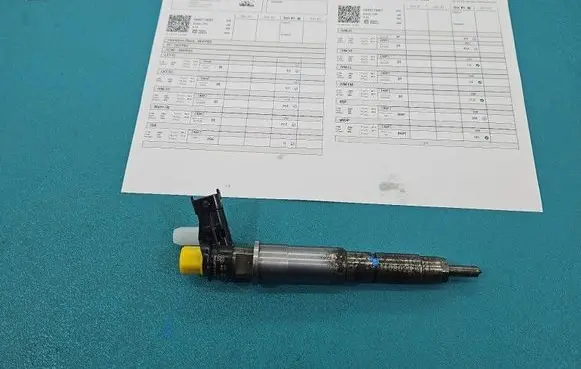 Renault Koleos I Fuel injector 0445115007 IMPRK1408623