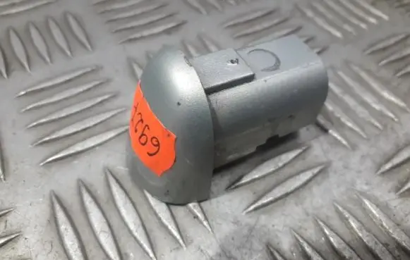 Renault Laguna II Loading door cover/cap 8200028784
