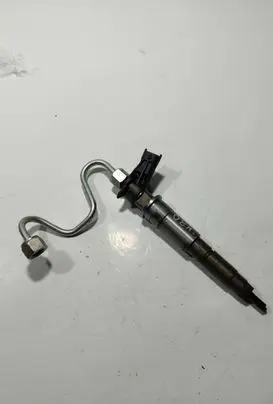 Nissan X-Trail T31 Fuel injector 0445115022 071107 804554AH82409395