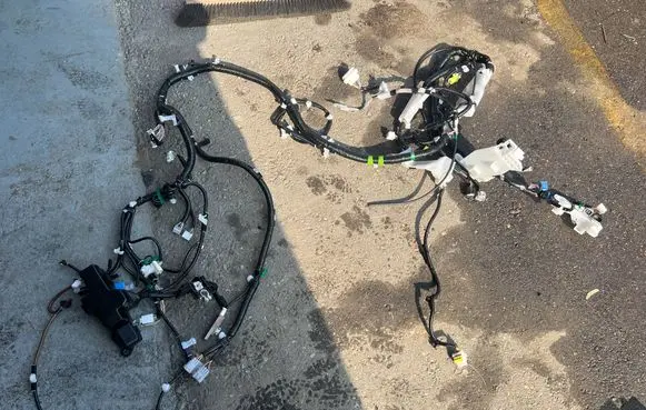 Toyota RAV 4 (XA50) Wiring harness 