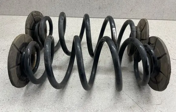 Rear coil spring