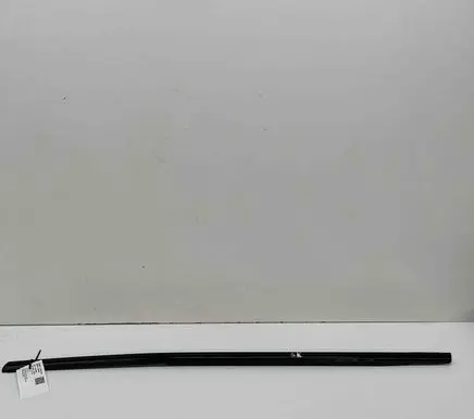 BMW 5 G60 Rear door glass trim molding 5A058E1