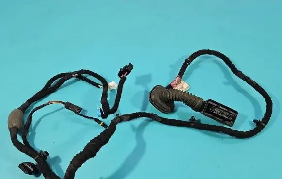 BMW 3 G20 G21 Rear door wiring loom 5AOC08901 IMPRK1585039
