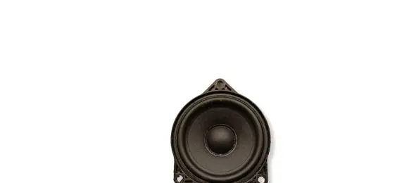 Tesla Model 3 Highland Panel speaker 107974200C