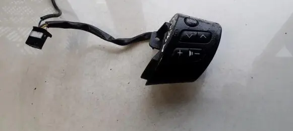 Multifunctional control switch/knob