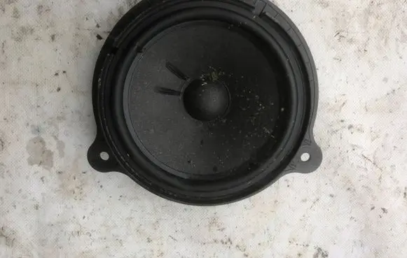 Renault Clio V Front door speaker