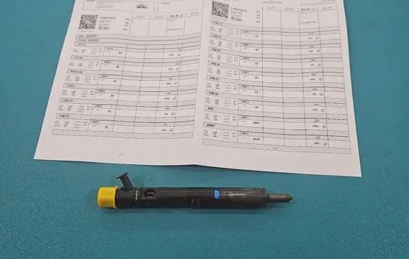 Renault Megane II Fuel injector EJBR01801A IMPRK1510512