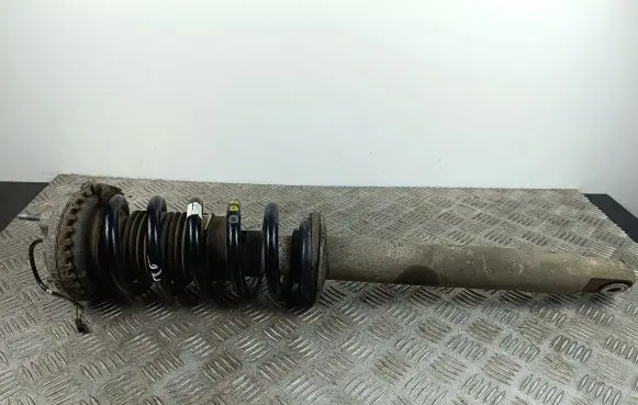 Maserati Quattroporte Front shock absorber with coil spring 462400009634