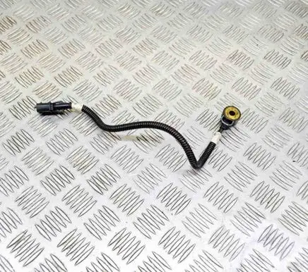 Maserati Quattroporte Detonation knock sensor 0261231223