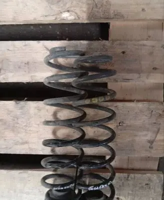 Rear coil spring