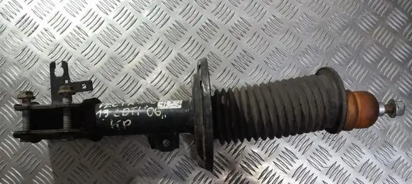 Opel Vectra C Front shock absorber/damper 82490300291 13254165