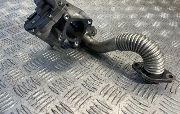 Renault Trafic II (X83) EGR valve 8200796674 H8200987088 A2C53217899