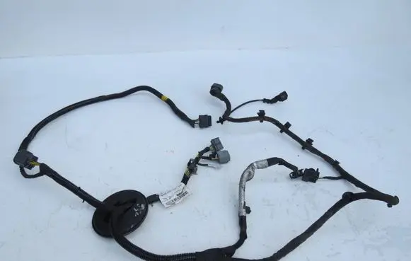 Volvo S60 Other wiring loom 31254639 29095