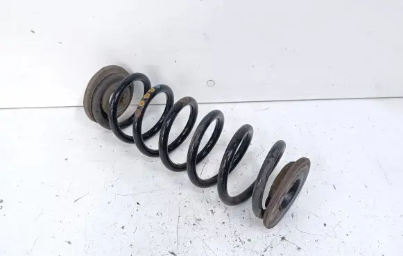 Volkswagen Tiguan Rear coil spring
