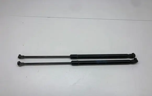 Tailgate/trunk strut/damper