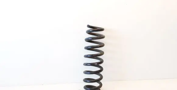 Rear coil spring