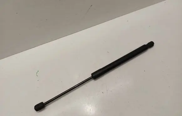 Tailgate/trunk strut/damper