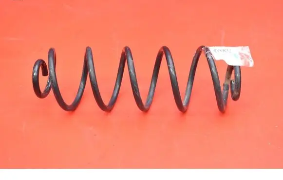 Rear coil spring