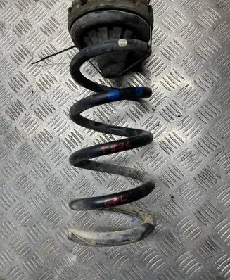 Rear coil spring