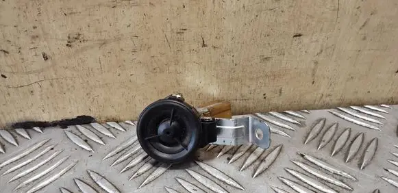 Nissan X-Trail T31 Front door high frequency speaker 28148JG000