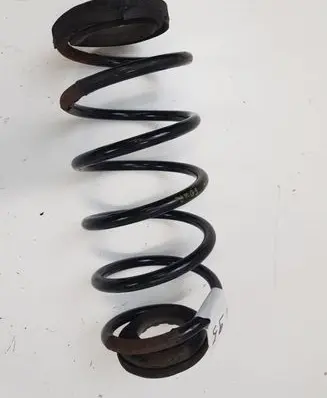 Smart ForFour I Rear coil spring